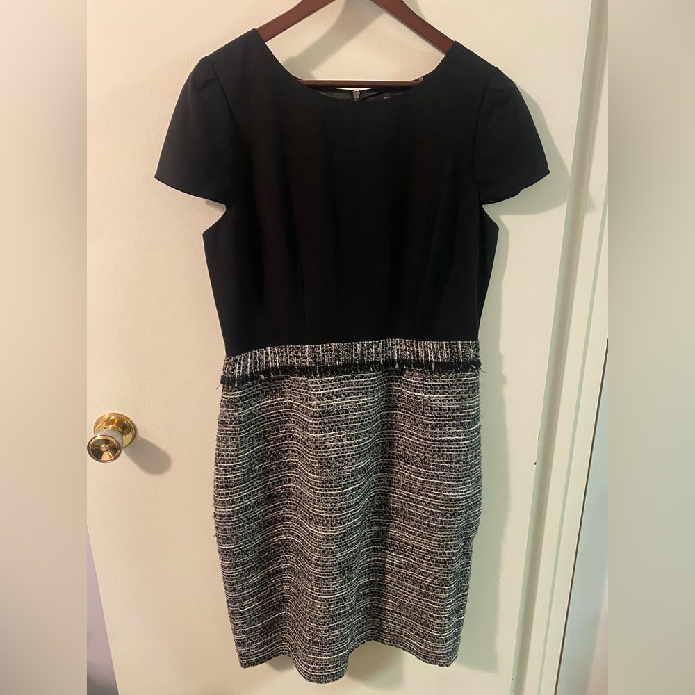 Elegant Black and Gray Women's Tahari Dress